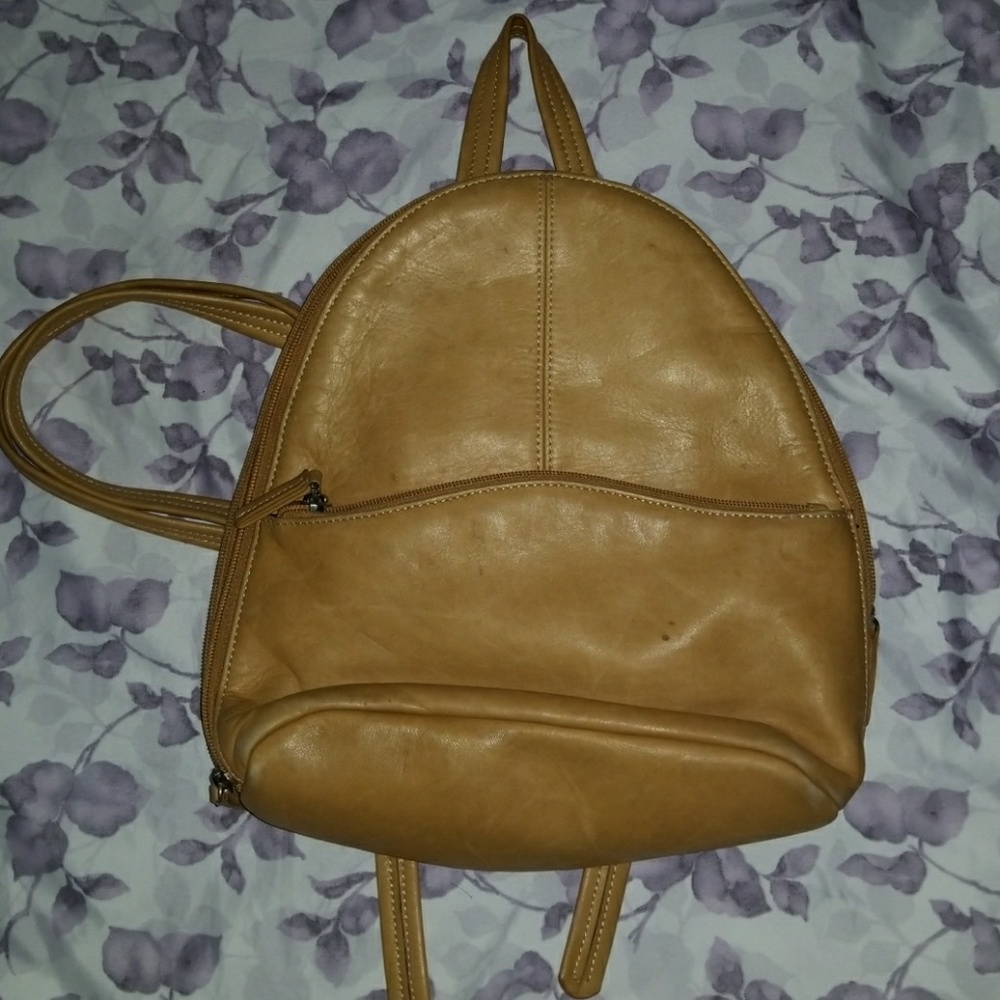 Tignanello Bag